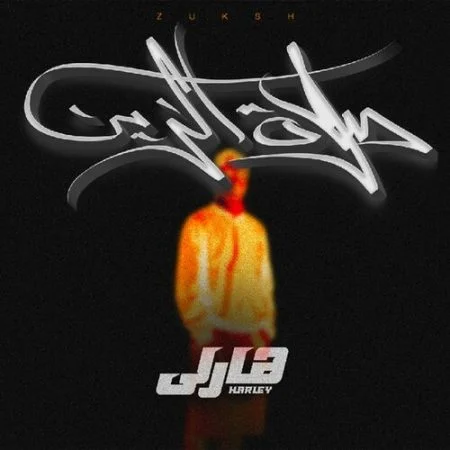 اغنية هاني شاكر الهوية عربي Mp3