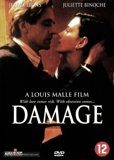 فيلم Damage 1992 مترجم