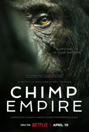 مسلسل Chimp Empire الموسم الأول الحلقة 2